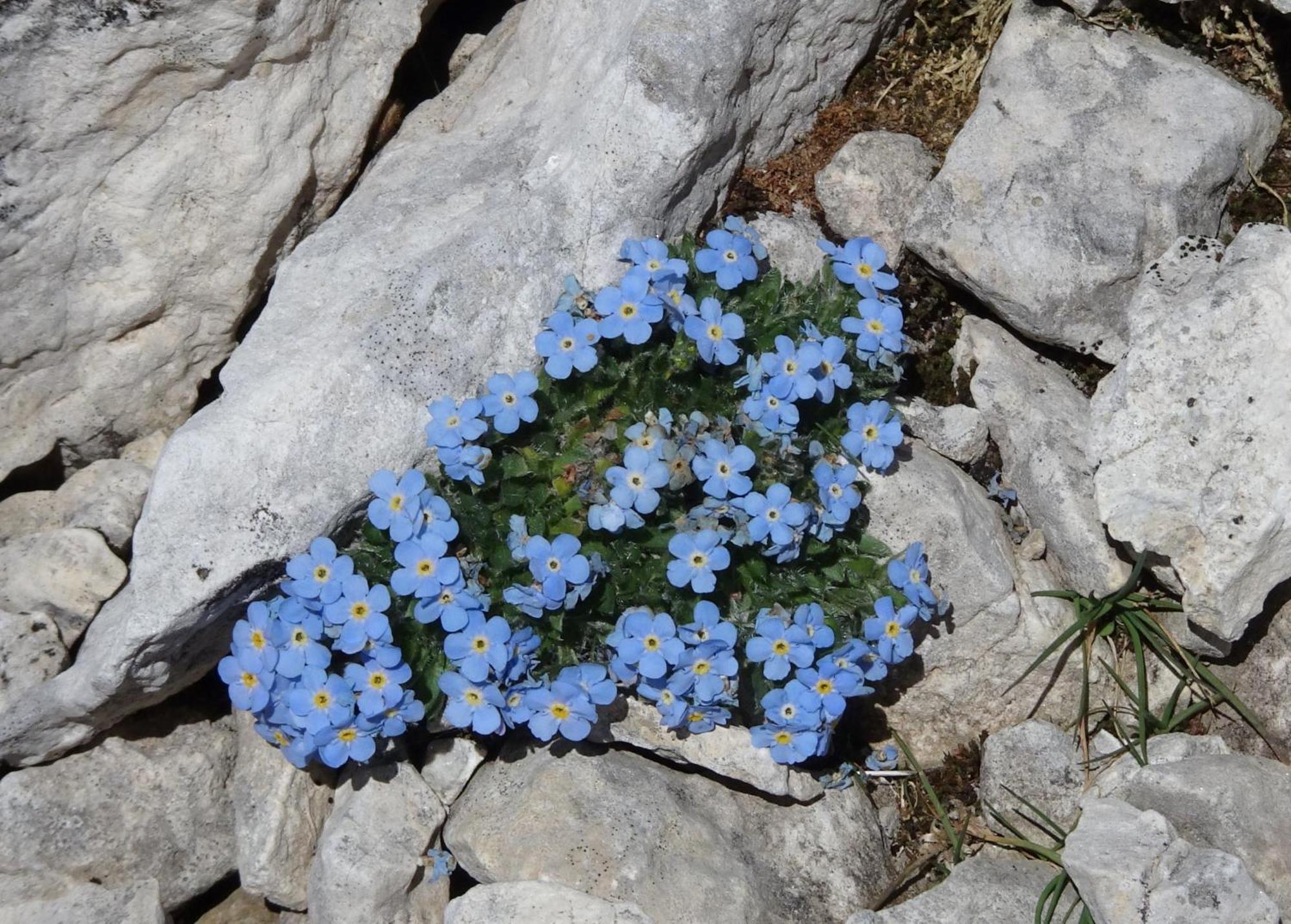 B&B Dolomia Sagron Mis Kültér fotó