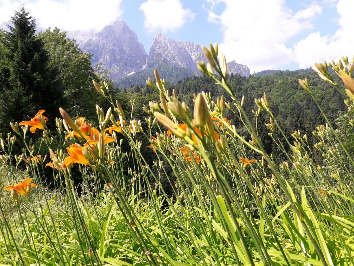 B&B Dolomia Sagron Mis Kültér fotó