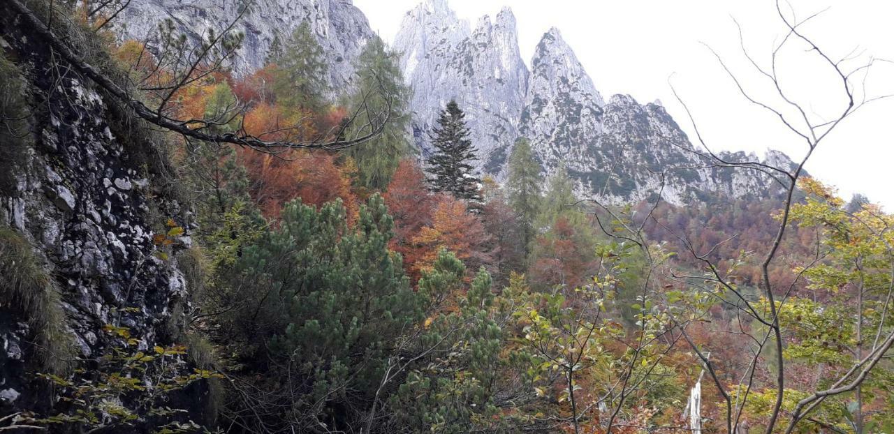 B&B Dolomia Sagron Mis Kültér fotó