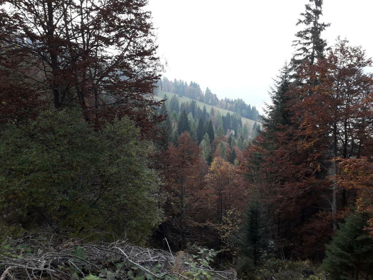 B&B Dolomia Sagron Mis Kültér fotó